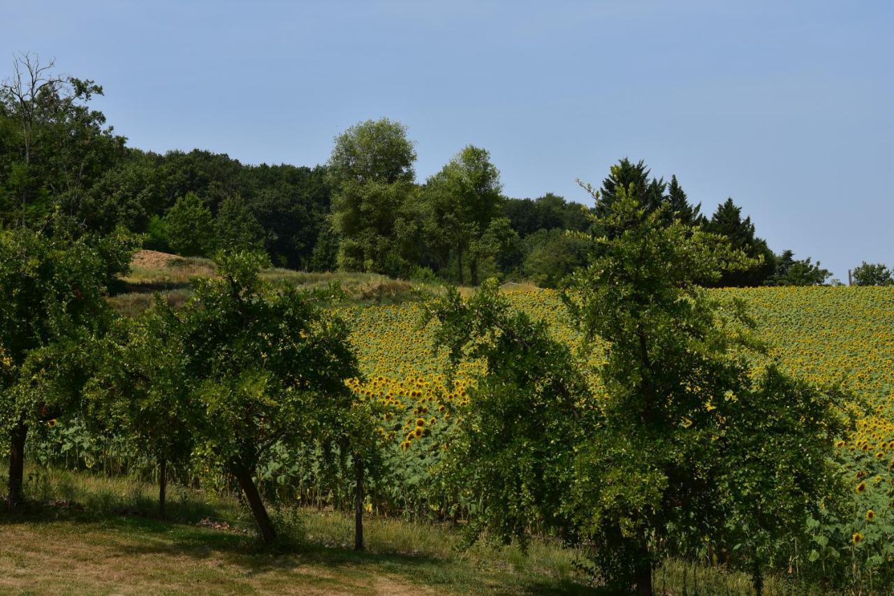 Domaine De Calbiac Bed & Breakfast Dolmayrac Екстериор снимка