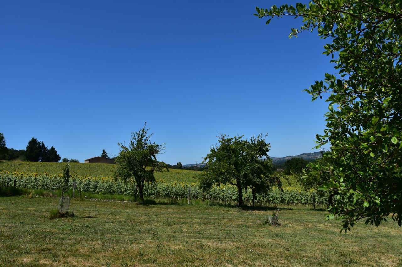 Domaine De Calbiac Bed & Breakfast Dolmayrac Екстериор снимка